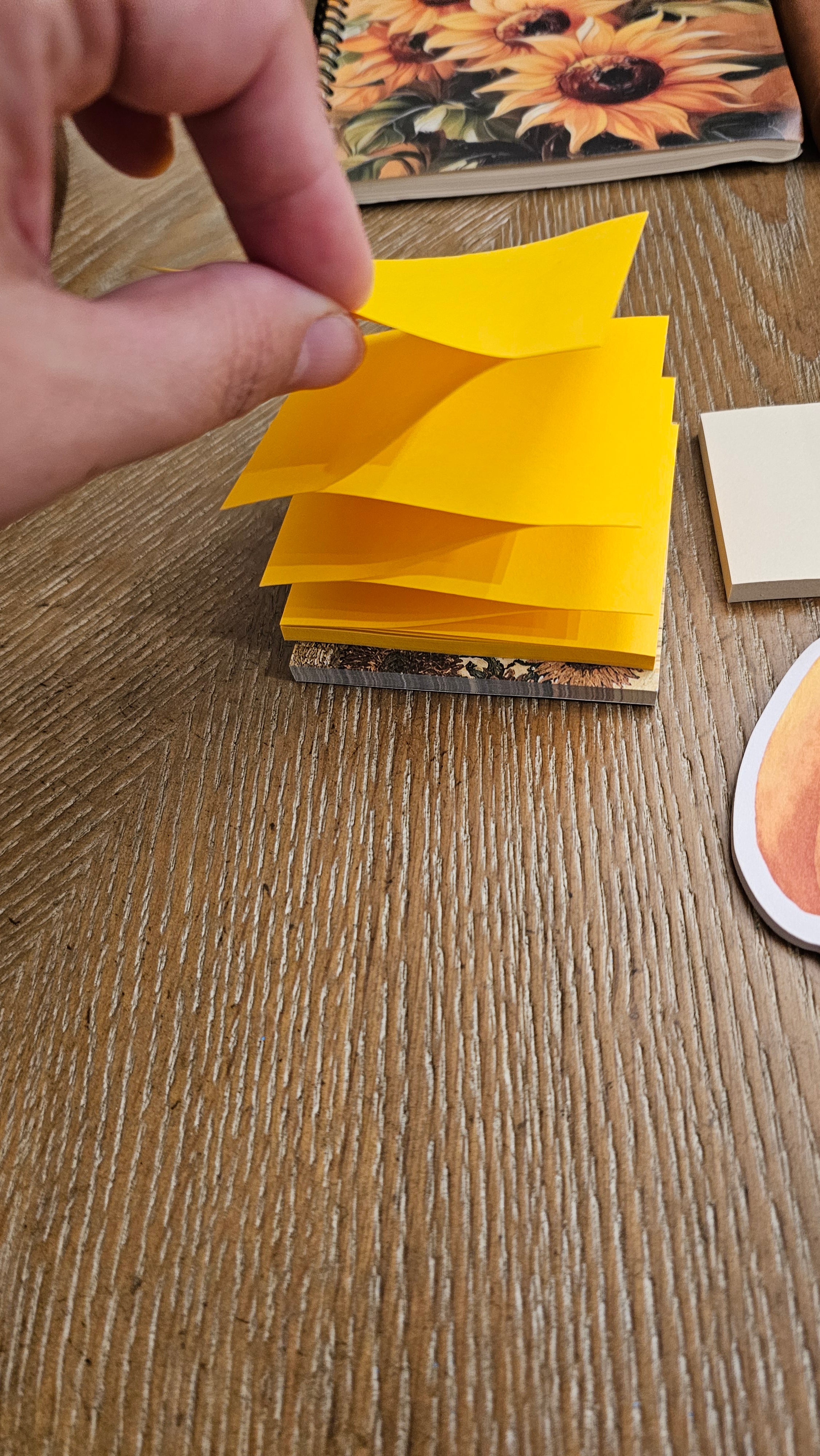 Golden Harvest Stationery Gift Set