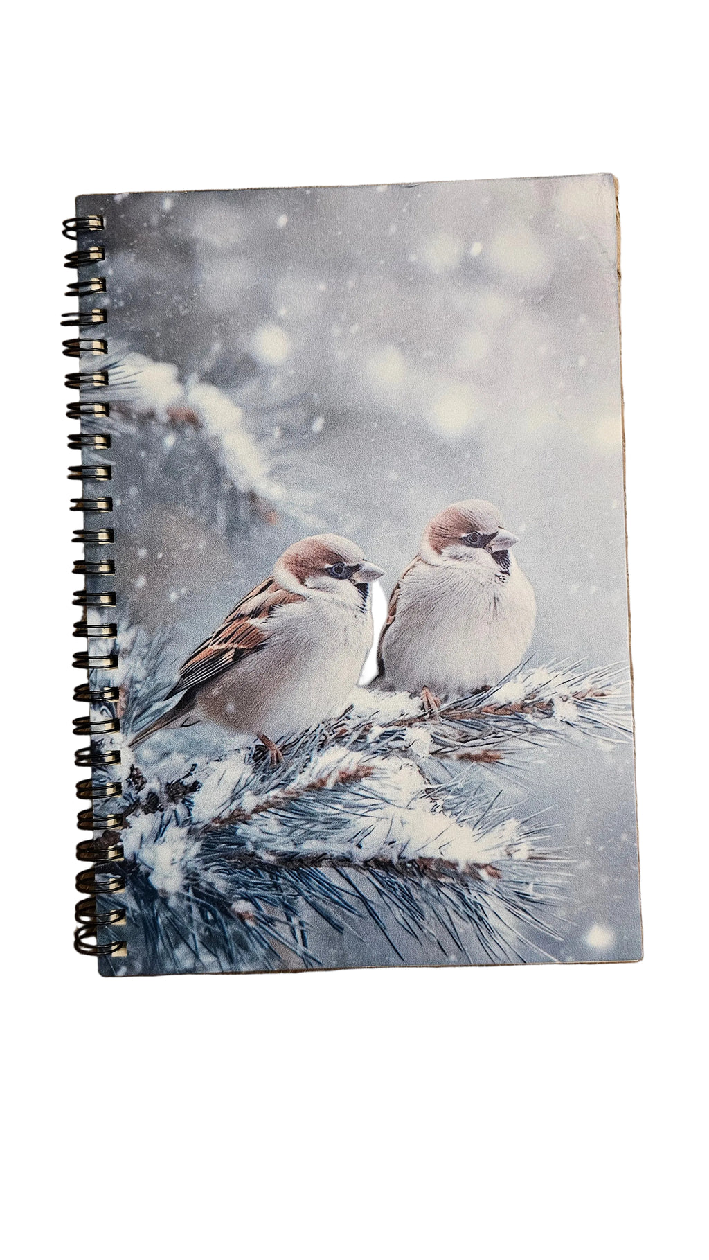 Winter Sparrows Premium Stationery Gift Set