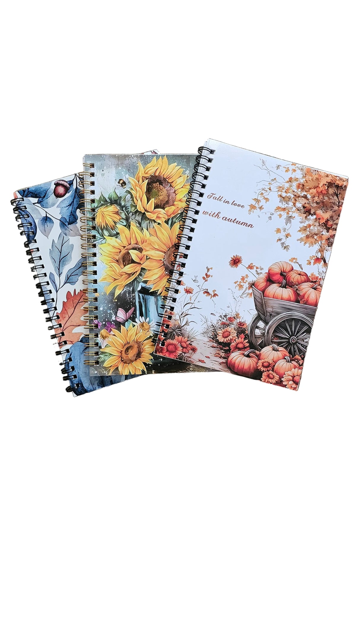 Autumn Spiral Journals