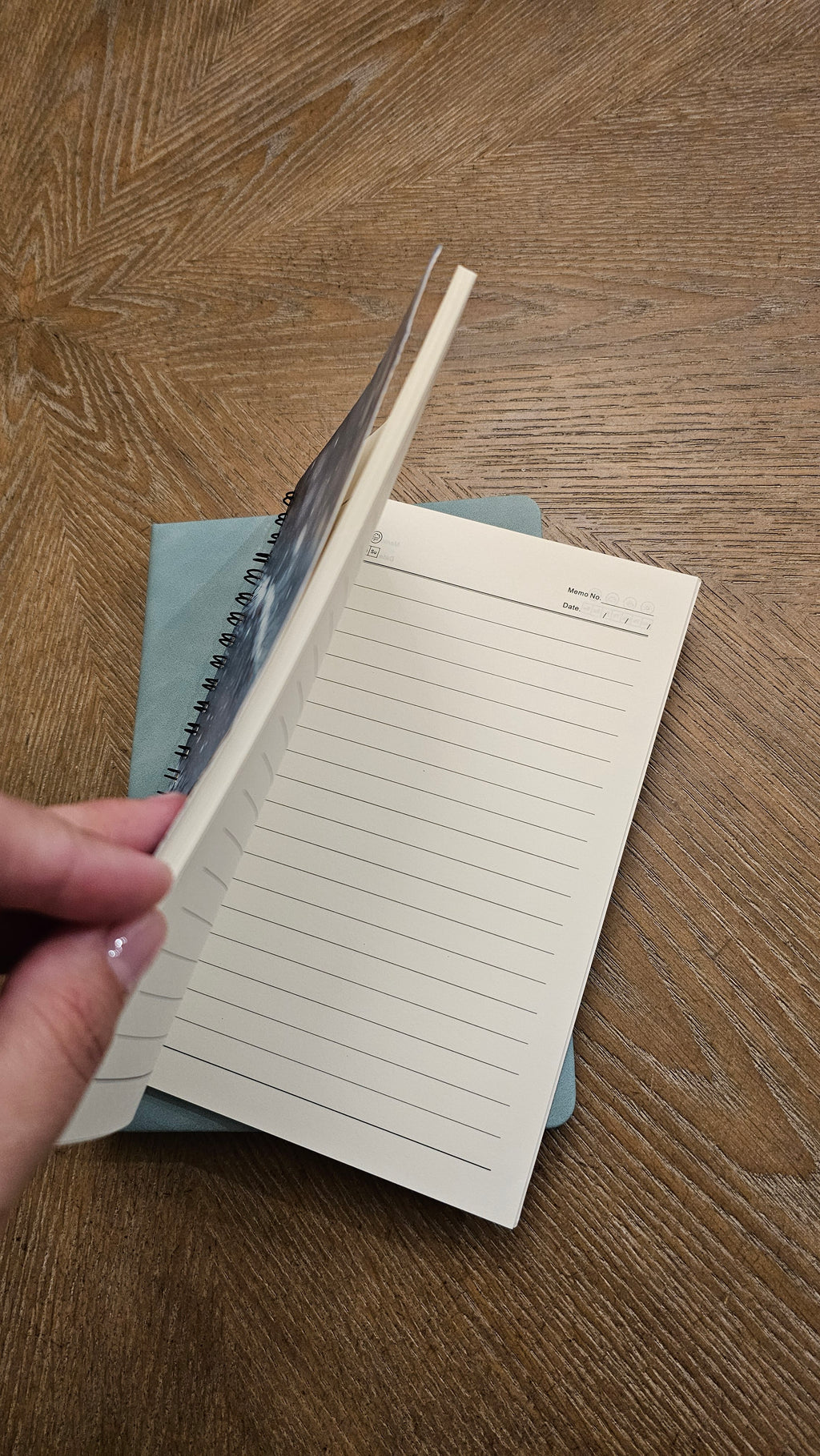 Winter Sparrows Premium Stationery Gift Set