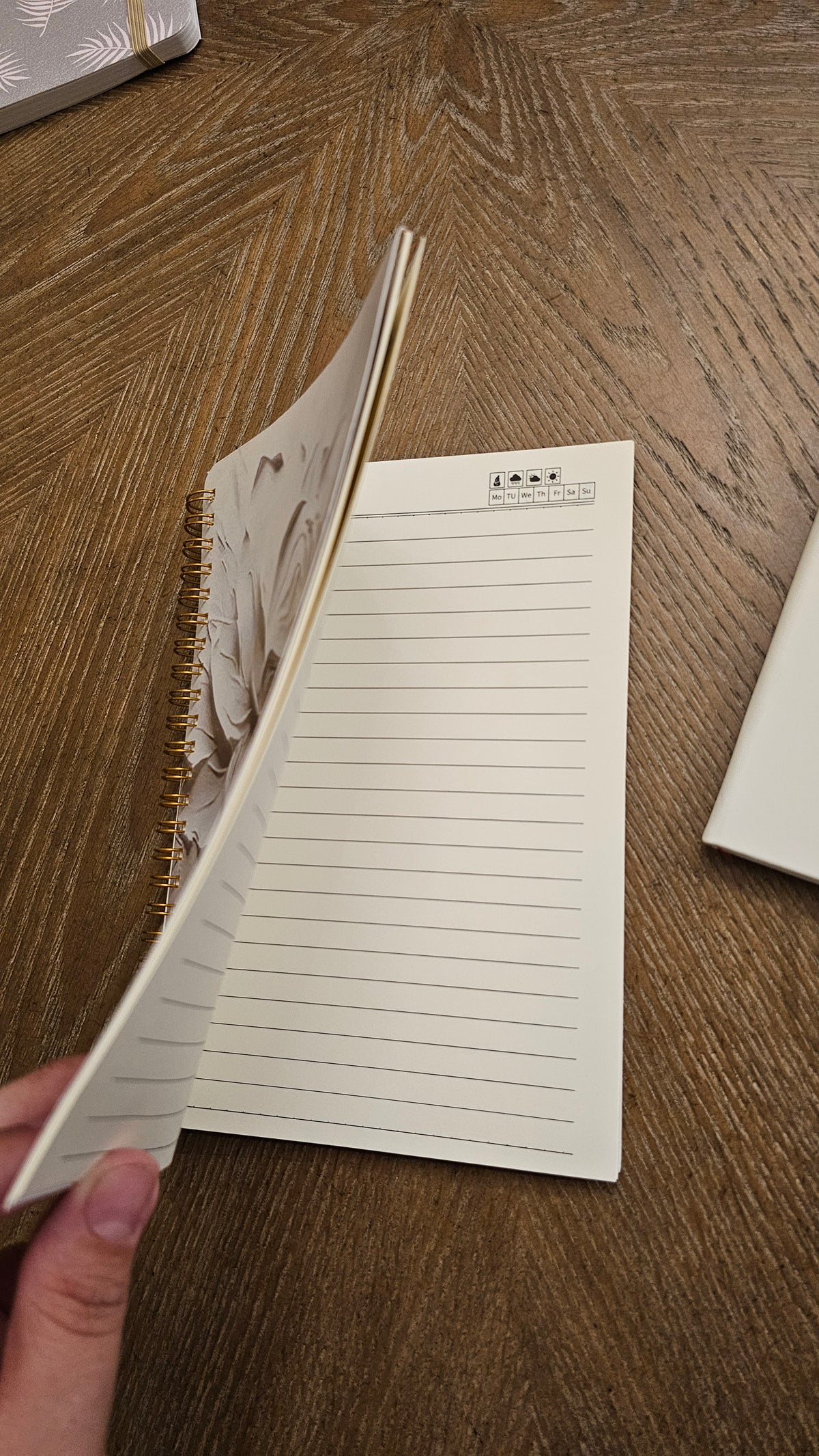 Ivory Petals Stationery Gift Set