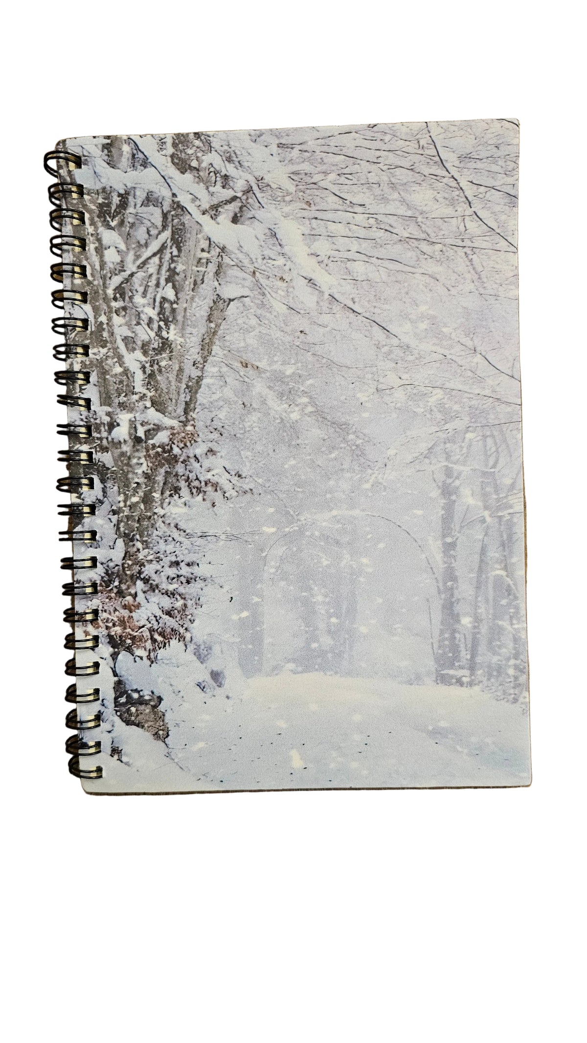 A Winter's Silent Beauty Stationery Gift Set