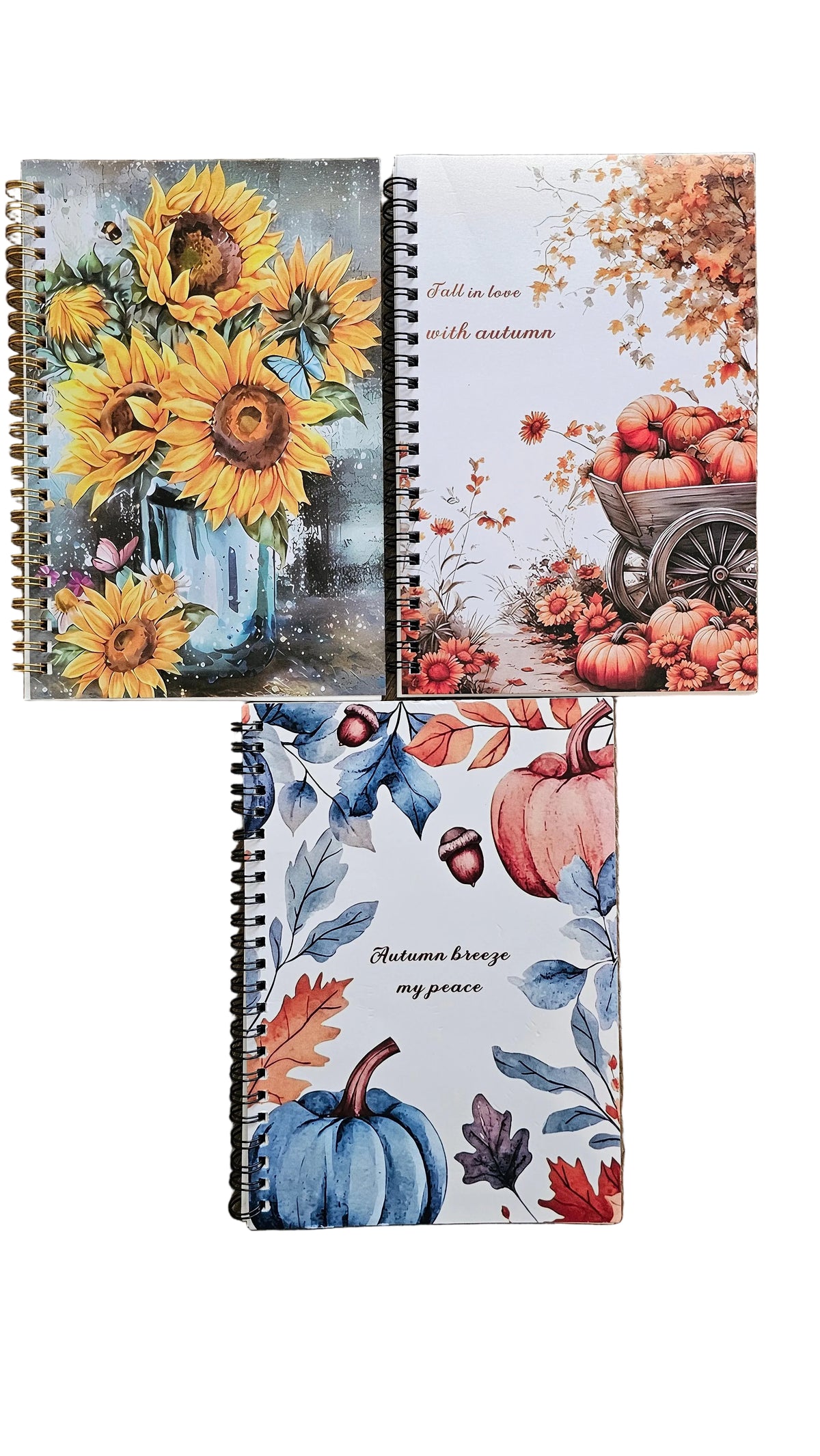 Autumn Spiral Journals
