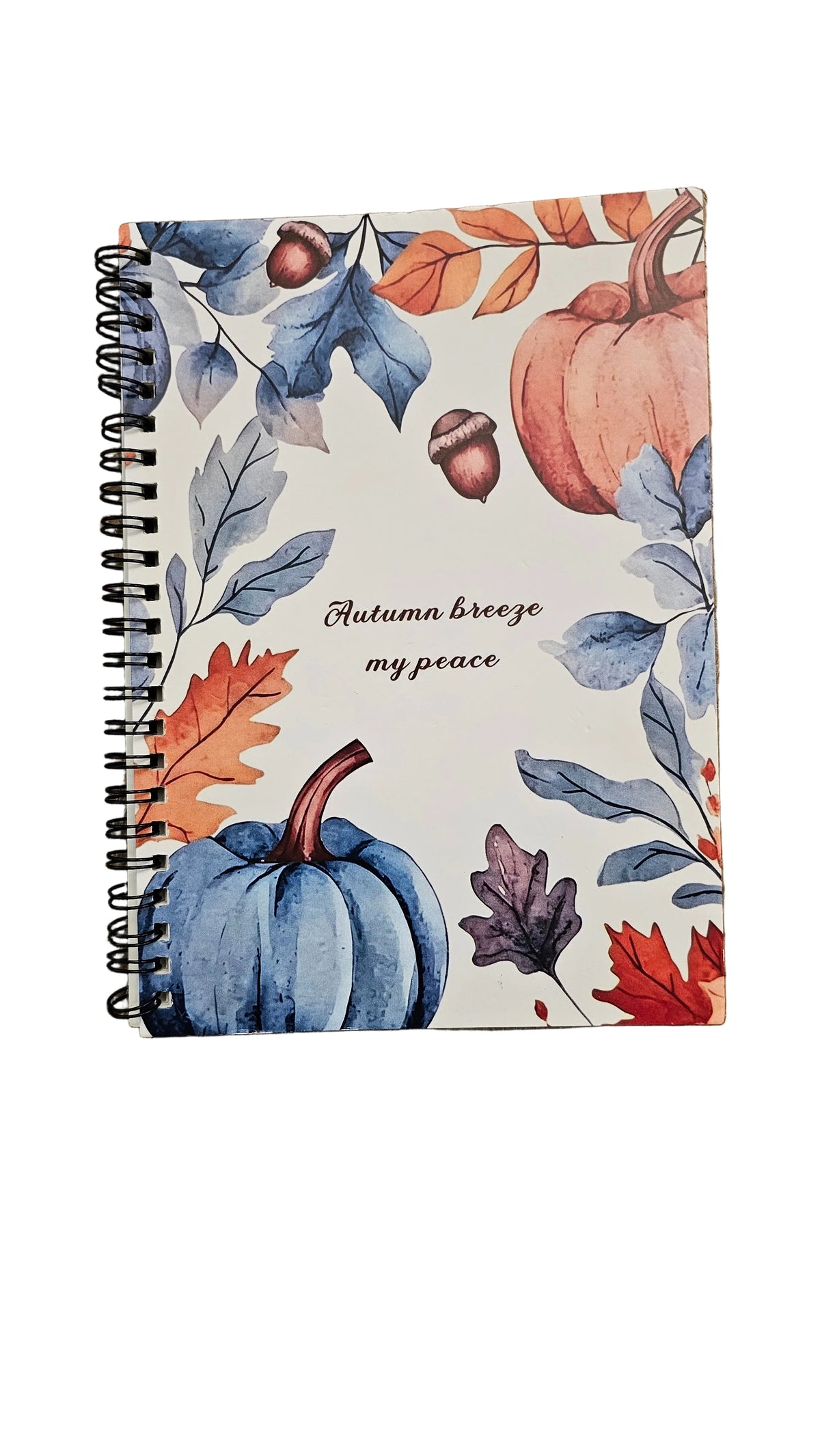Autumn Breeze Premium Stationery Gift Set