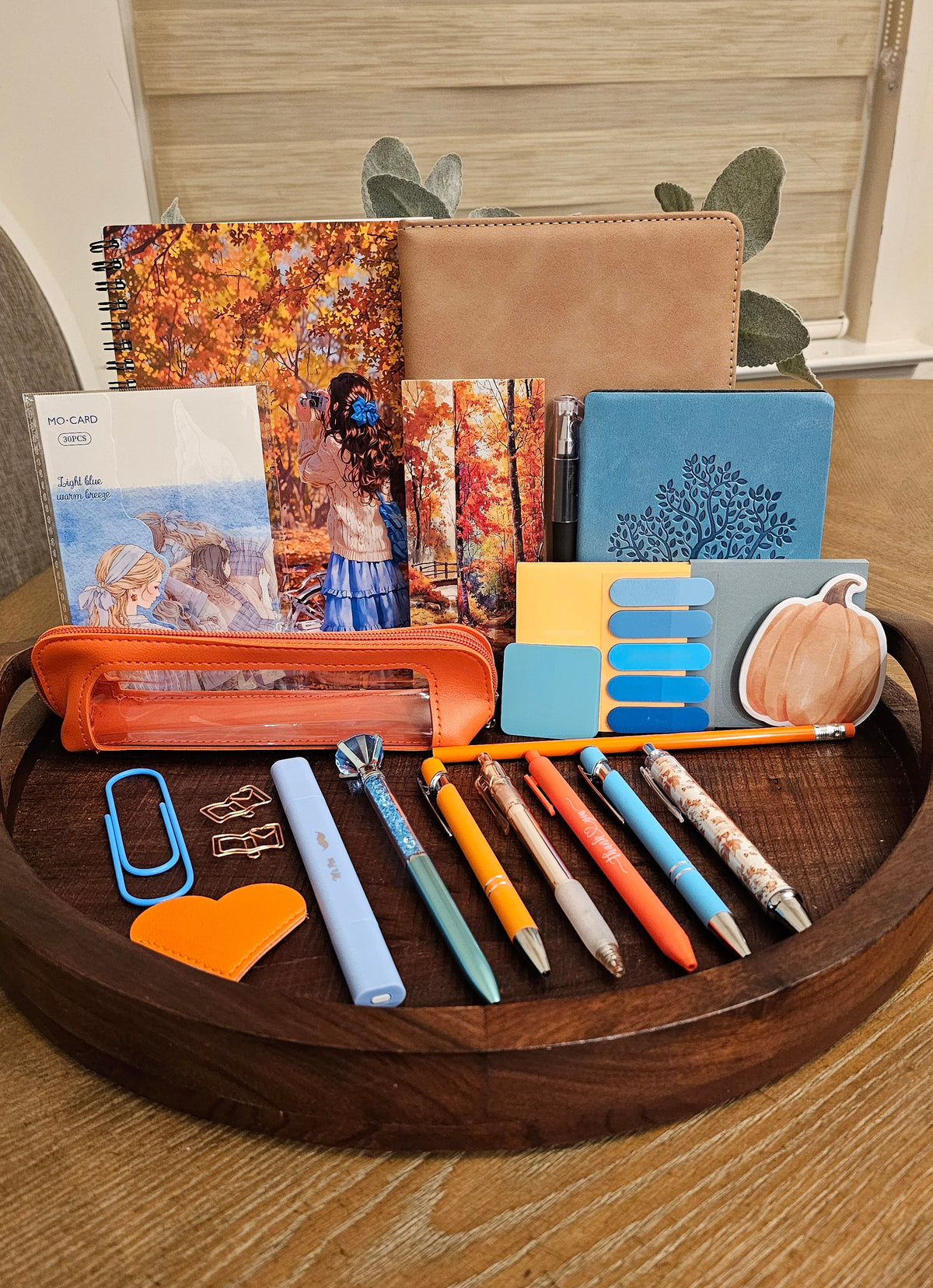 Captured in Autumn Premium Stationery Gift Set
